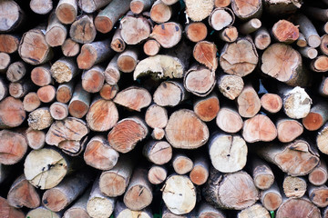 A pile of natural wooden logs background