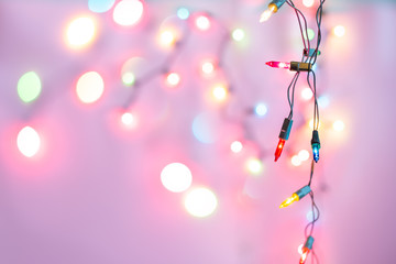 Plakat Christmas light bulbs turned on or lid on string in colours with sweet love purple & pink background, sweet holiday concept for Xmas party, special love celebration or happy new year (selective focus)