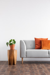 Orange pillows on grey sofa next to plant on wooden table in grey living room interior. Real photo