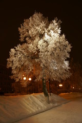 Зимняя сказка