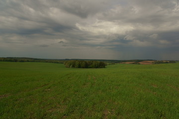 landscape with wheat field and blue sky