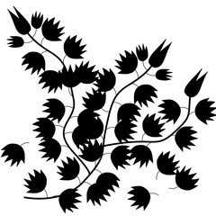 darktone of leaf isolated on white