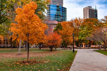 Tuinposter Washington Square Park in Chicago Walkway during Autumn  © James