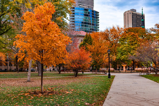 Washington Square Park in Chicago Walkway during Autumn 