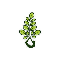 Moringa logo design inspiration - Yoga logo design insiration