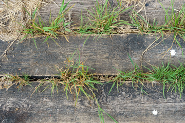 Bretter und Gras, Hintergrund