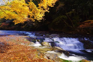 色着いて来た秋の遊水峡