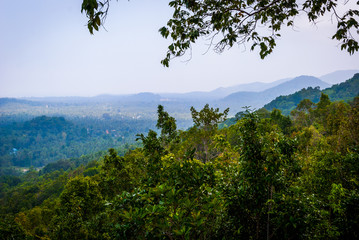 Jungle of Koh Phangan, Thailand