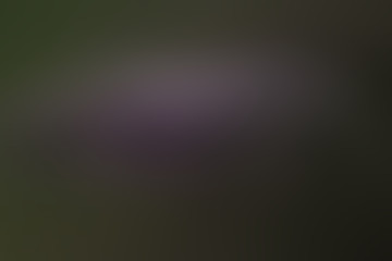 spring light green blur background, glowing blurred design, summer background for design wallpaper