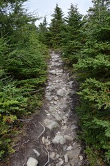 Fototapeta na wymiar East Coast Father Troy’s Path; East Coast trail near Torbay, Avalon Peninsula, NL Canada