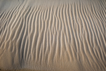 Dunes Delta de Ebro