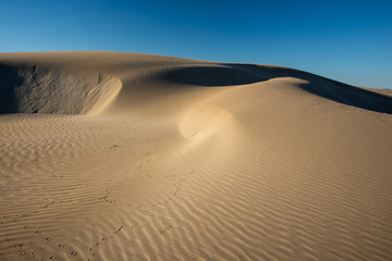 Dunes Delta de Ebro