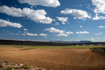 ploughed field  in Aragon