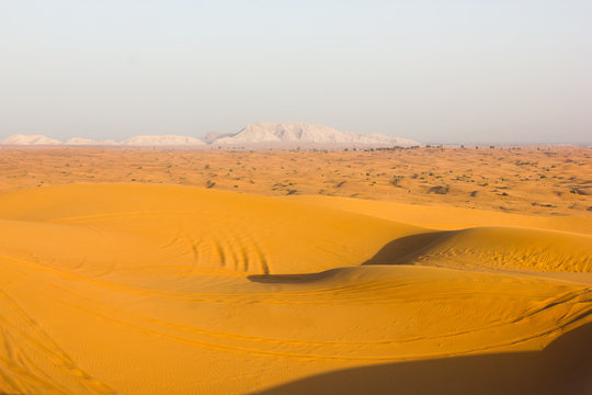 The desert landscape of yellow sand and mountains in the background