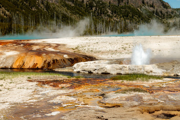 yellowstone park