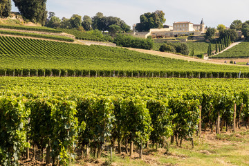 Saint-Emilion, France. Vineyards at the Jurisdiction of Saint-Emilion, a World Heritage Site since...