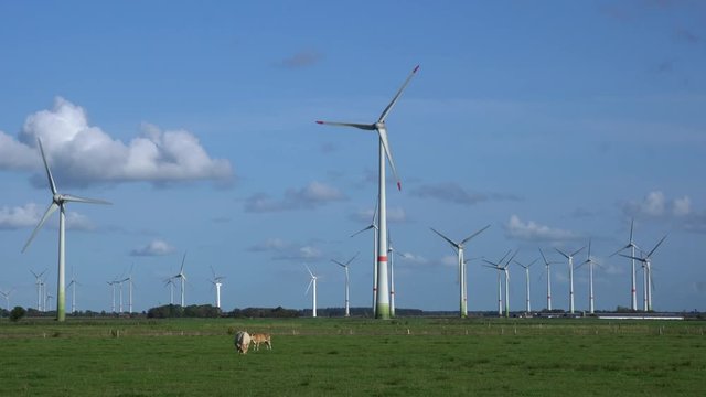 Windpark zwischen Dornum und Westerholt in Ostfriesland