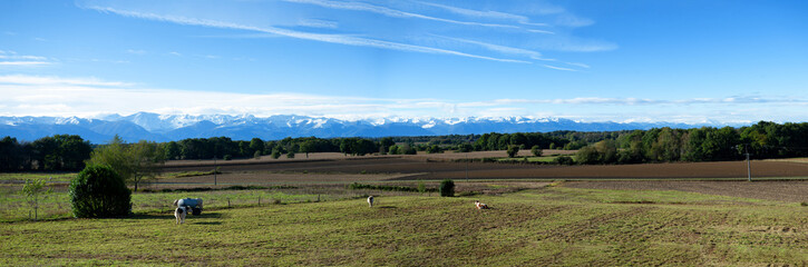 Fototapeta na wymiar countryside landscape with Pyrenees mountain range in the background