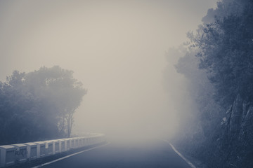 empty road in thick fog in forest landscape -