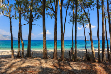 Fototapeta na wymiar Landscape with cypresses by the sea