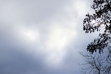 autumn. dark sky before the rain, there are trees part