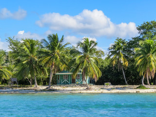 Fototapeta na wymiar La Romana, Dominican Republic - Beautifull Beach with tropical palms and white sand of a typical tropical island of the caribbean