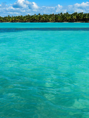 Fototapeta premium La Romana, Dominican Republic - the turquoise water and the green palms of the beach of the tropical island of Dominican Republic.
