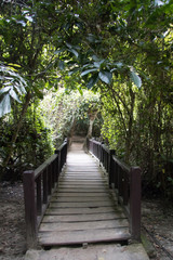 beach with rocks and sky