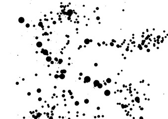 Ink grunge drops texture. Black hand drawn splashes and stains on white background.