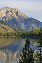Fototapeta na wymiar Jenny lake Teton National Park in Fall