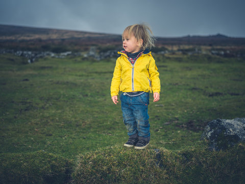 Little toddler walking on the moor