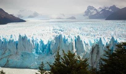 Photo sur Plexiglas Glaciers Glacier Perito Moreno, au sud-est de l& 39 Argentine