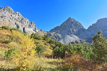 Beautiful alpine landscape above the tree line with colorful vegetation and wild mountains of rock under blue sky. Lechtal Alps, Tyrol, Austria.