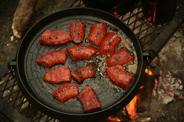 cooking meat on the grill