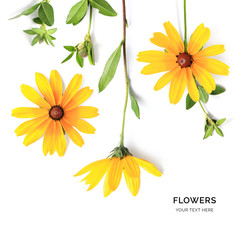 Creative layout made of yellow flowers isolated on white background. Flat lay. Flower concept.