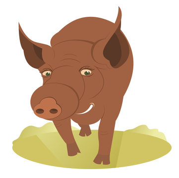 Cartoon pig illustration. Smiling cartoon pig on the lawn illustration 
