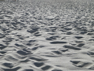 Beach sand as a background.