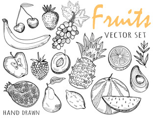 Hand drawn graphic fruits. Vector set
