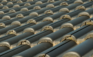 Fototapeta premium Dachfläche eingedeckt mit schwarzen Dachpfannen