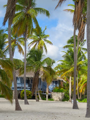 Fototapeta na wymiar La Romana, Dominican Republic - Beautifull Beach house with tropical palms and white sand of a typical tropical island of the caribbean