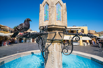 Pigeon sitting on fountain in Hippocrates Square in old town of Rhodes (Rhodes, Greece)