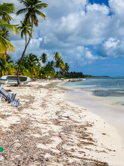 La Romana, Dominican Republic - Beautifull Beach with tropical palms and white sand of a typical tropical island of the caribbean