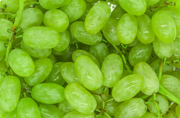 Bunches of green grapes with water drops background texture, closeup