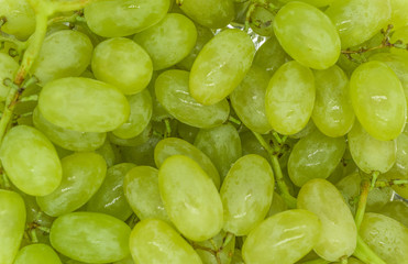 Bunches of green grapes with water drops background texture, closeup