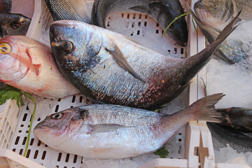 Sicile, marché de Marsala