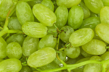 Bunches of green grapes with water drops background texture, closeup