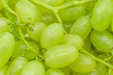 Bunches of green grapes with water drops background texture, closeup