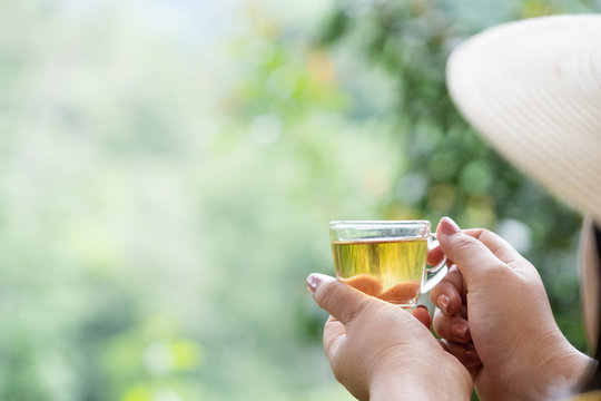 women hand holding a glass cup of hot tea. green nature forest background.