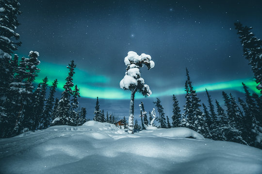 Northern lights in Canada
