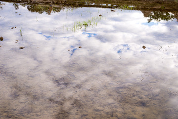 Reflection of clouds in lake